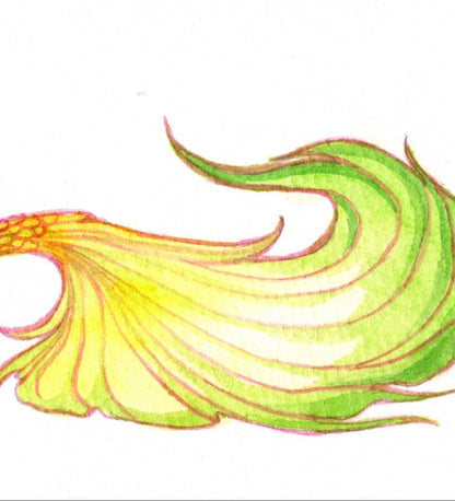 Mermaid Rainbow Series #4