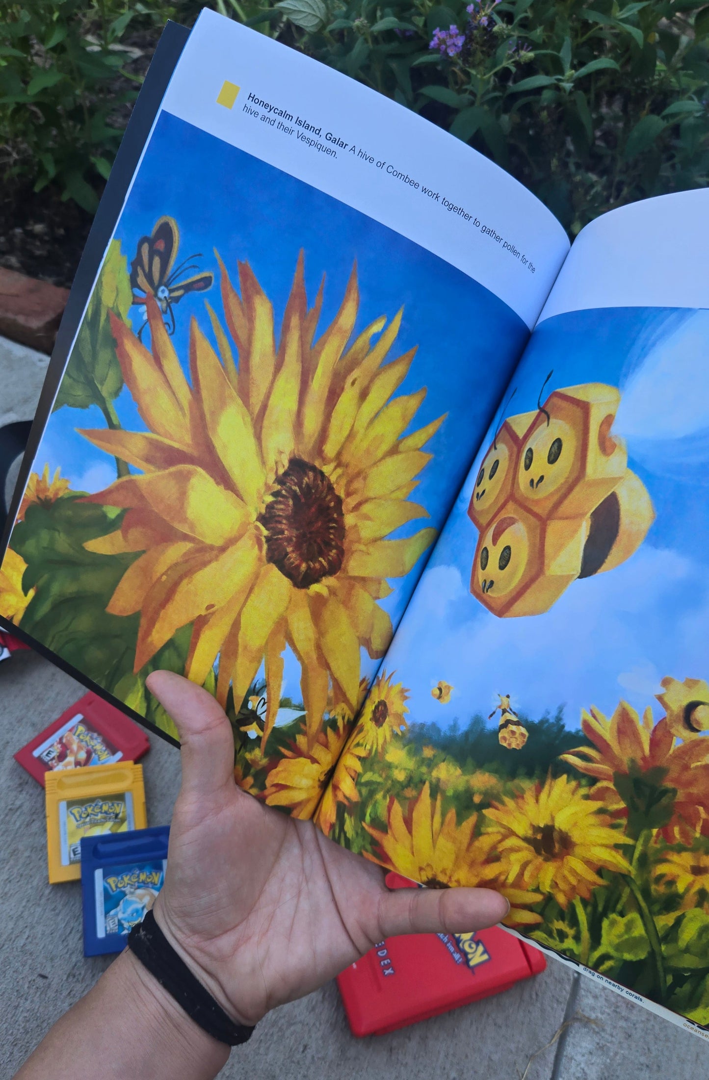 National Pokegraphic, vol.1 (PREORDER)