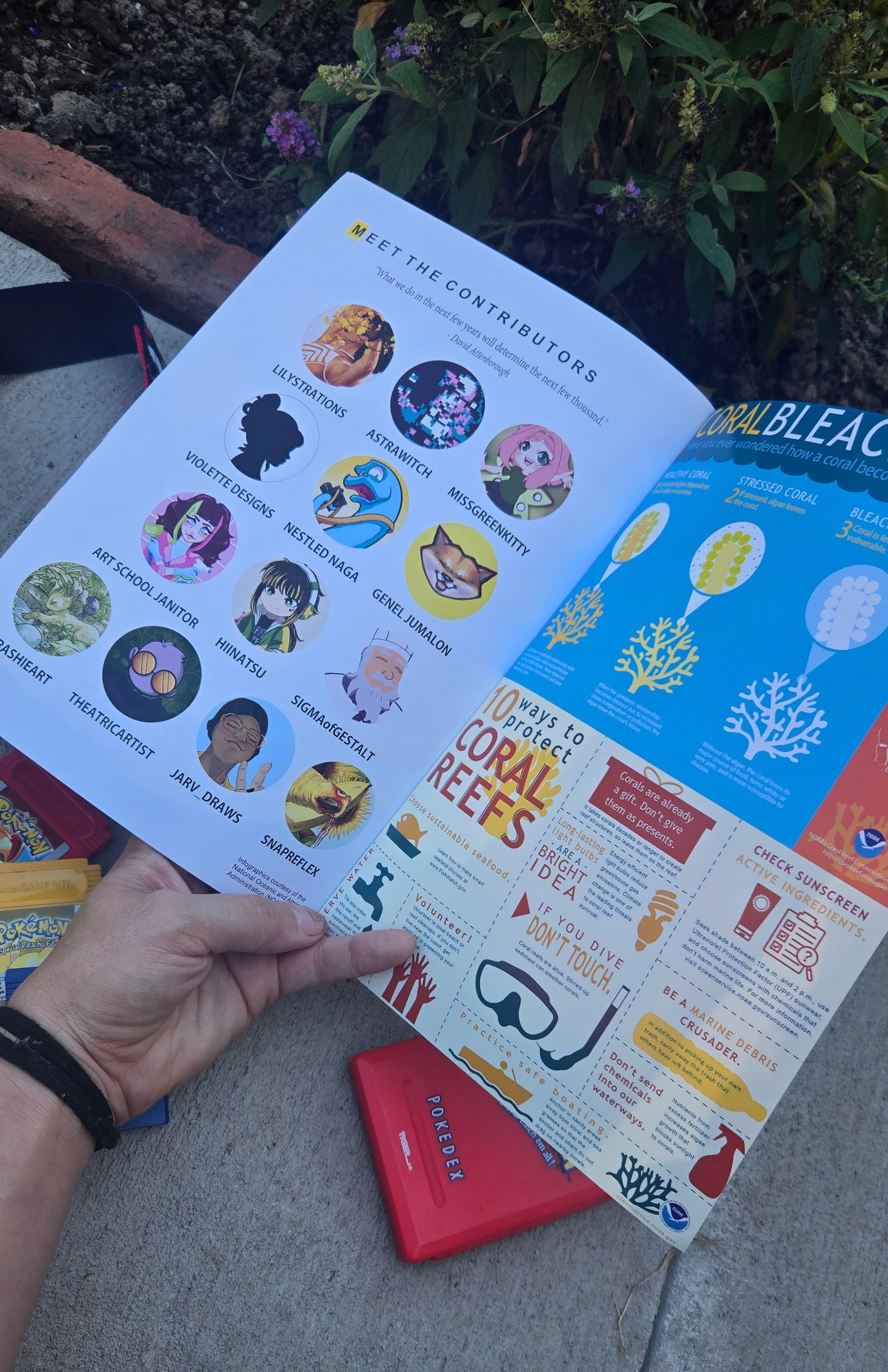 National Pokegraphic, vol.1 (PREORDER)